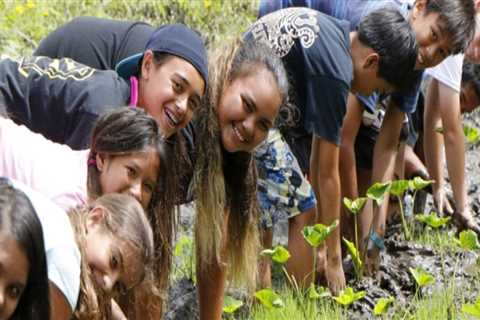 Native Hawaiian Leadership: Promoting Education and Knowledge Sharing within Communities