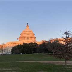 U.S. House passes $468 billion spending package that would stave off shutdown • Florida Phoenix