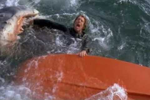 The Huge Blooper That Everyone Missed in Jaws, It’s Obvious Now