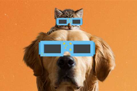 How to Keep Your Pets Safe During the Solar Eclipse 2024