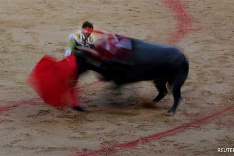 Spain Scraps National Bullfighting Award In Cultural Shift, Sparks Debate