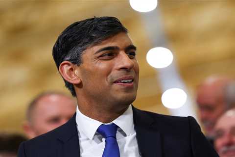 Rishi Sunak declares ‘the plan IS working and we must stick to it’ as Britain finally exits..