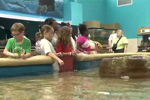 Hattiesburg students visit IMMS, learn about marine mammals