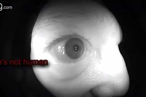 Most Disturbing Things Caught on Ring Doorbell Camera