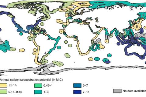 Guest post: The role of ‘blue carbon’ in addressing climate change