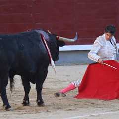This Wednesday, the PP brings the restitution of the National Bullfighting Award to Congress – •