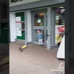 Girl Terrified And Robbed By Duck