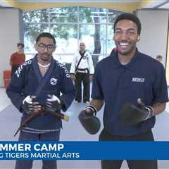 Fighting Tigers Martial Arts Summer Camp