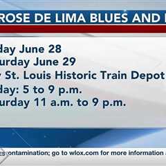 Happening June 28-29: St. Rose de Lima Blues and BBQ Festival coming to Bay St. Louis