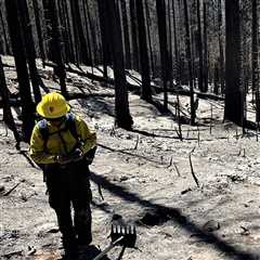 Yosemite National Park Wildfire Update
