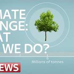 Climate Change: What Can We Do?