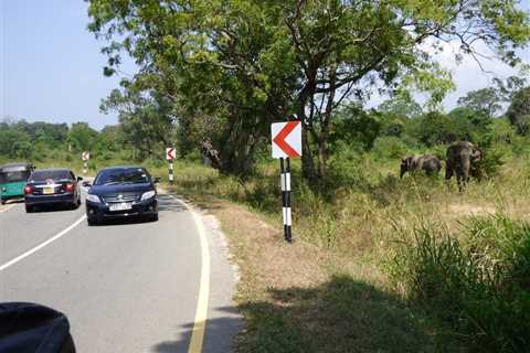 Human activities have reduced elephant habitat by nearly two-thirds since 1700, dividing population ..