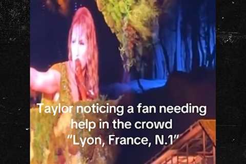 Taylor Swift Calls For Security in French to Help Fan at Concert