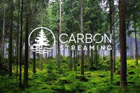 Activist Investor Marin Katusa Overhauls Carbon Streaming Leadership