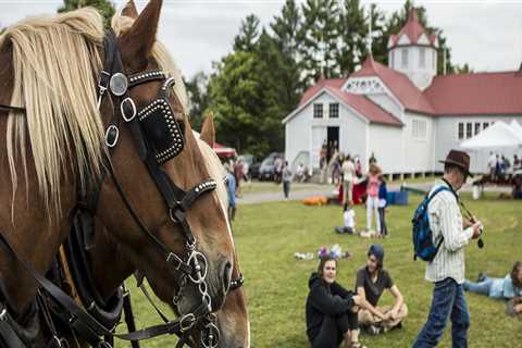 The Ultimate Guide to Bringing Your Pet to Festivals in Essex County, MA