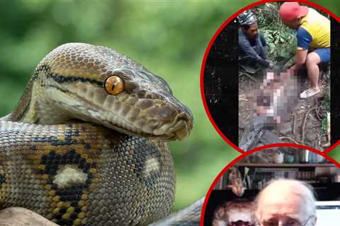 Snake Expert Gives Horrifying Detail of Python Eating Woman