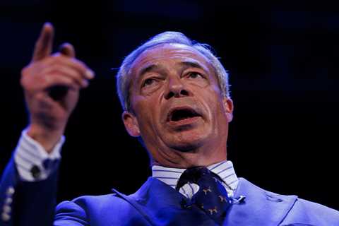 Nigel Farage accuses vetting firm of approving Nazi sympathiser candidates for Reform