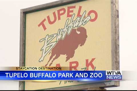 Staycation Destination: Tupelo Buffalo Park and Zoo