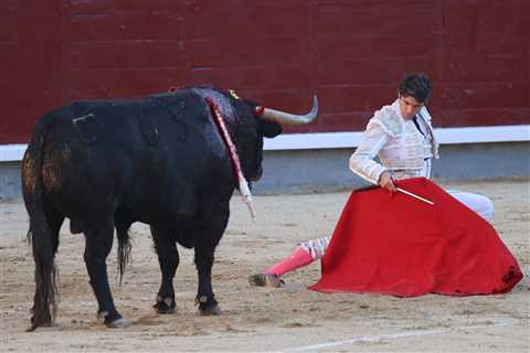 This Wednesday, the PP brings the restitution of the National Bullfighting Award to Congress – •