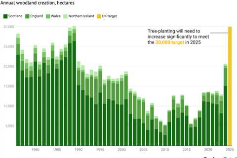 Analysis: UK misses tree-planting targets by forest the ‘size of Birmingham’