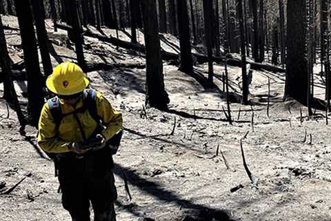 Yosemite National Park Wildfire Update