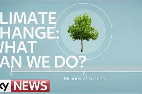 Climate Change: What Can We Do?