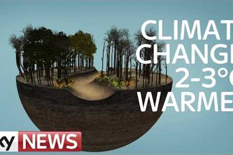 Climate Change: What happens If The World Warms Up By 3°C?