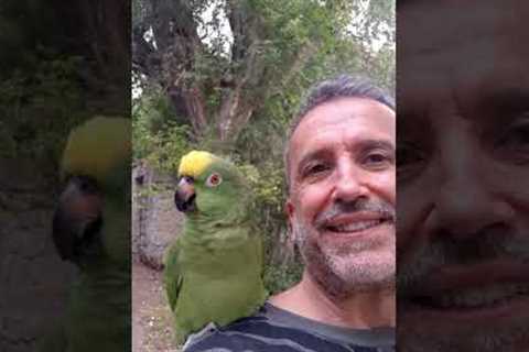 Parrot Imitates Animal Sounds