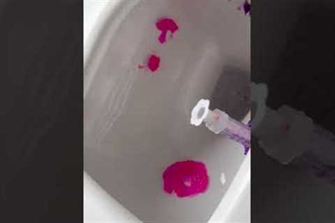 Failing At Viral TikTok Shop Toilet Stamp