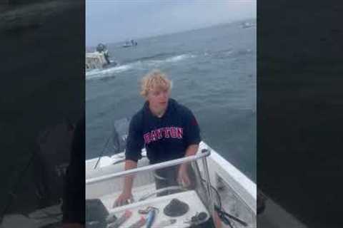 Breaching Whale Sinks Fishing Boat