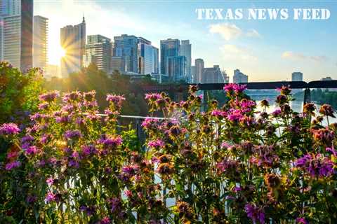 Texas Music Museum discusses proposal to expand its location