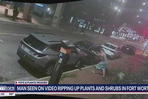 Fort Worth police searching for man who trashed landscaping, flower pots in downtown