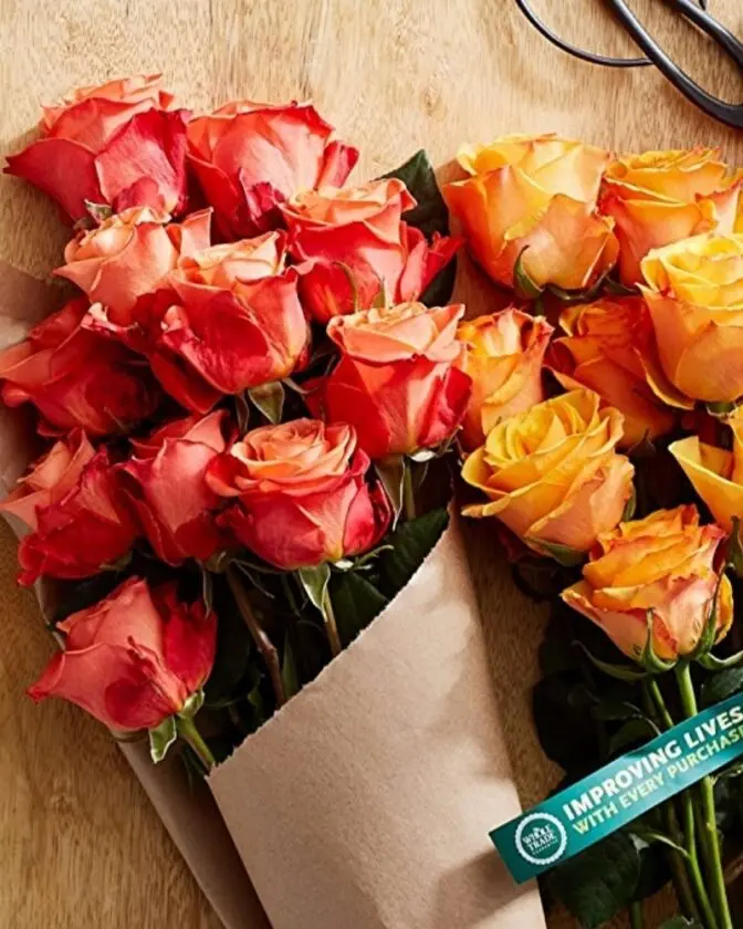 Where to Find Fair Trade Flowers For Any Special Occasion