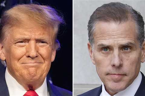 Poll compares whether Trump and Hunter Biden should get prison sentences according to US adults