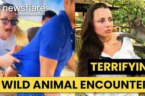 Terrifying & Unexpected Wild Animal Encounters