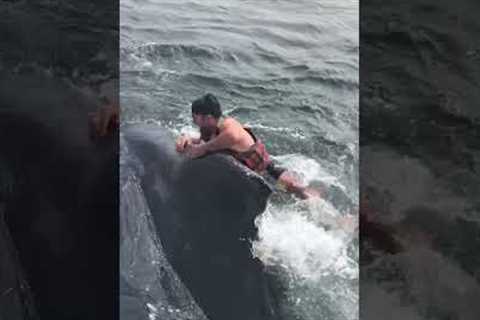 Heroic Fisherman Rides Whale To Set It Free