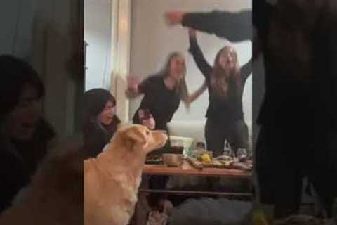 Dog Steals Food During Goal Celebration