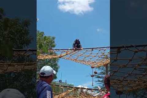 Cheeky Chimp Throws Poop At Us