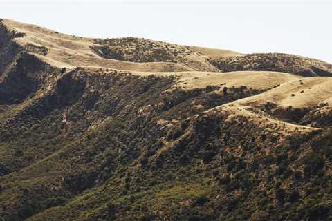 Southern California’s ecosystems evolved to survive fire. But not like this