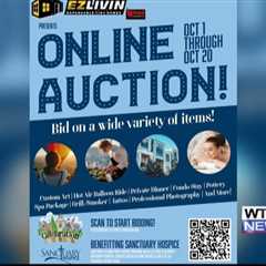 Interview: Online auction to benefit Sanctuary Hospice