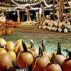 The Ultimate Guide to Accommodations for Fall Festivals in Tarrant County, Texas