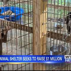 Amory Humane Society desperately trying to reach monetary goal by end of year