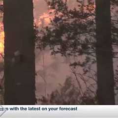 De Soto National Forest fire continues; crews working to contain