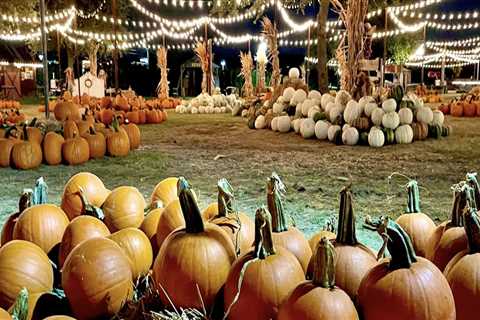 The Ultimate Guide to Accommodations for Fall Festivals in Tarrant County, Texas