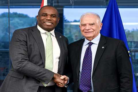 David Lammy advocates for closer ties between Britain and EU