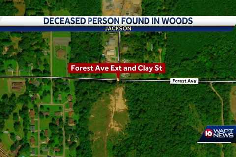 A body has been found in the woods in Jackson