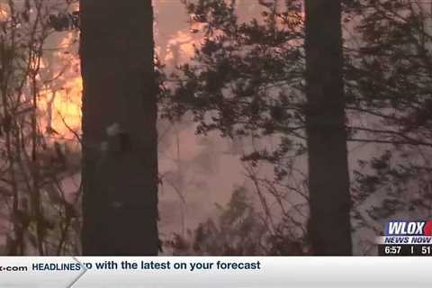 De Soto National Forest fire continues; crews working to contain