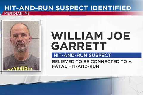 Suspect identified in Meridian fatal hit and run