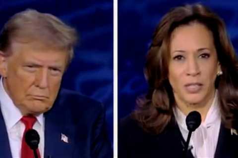 WOW: Trump Leading Harris in a State Republicans Haven’t Won in Nearly a Quarter Century | The..