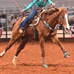 The Annual Fort Worth Stock Show and Rodeo: A Must-See Event in North Central Texas